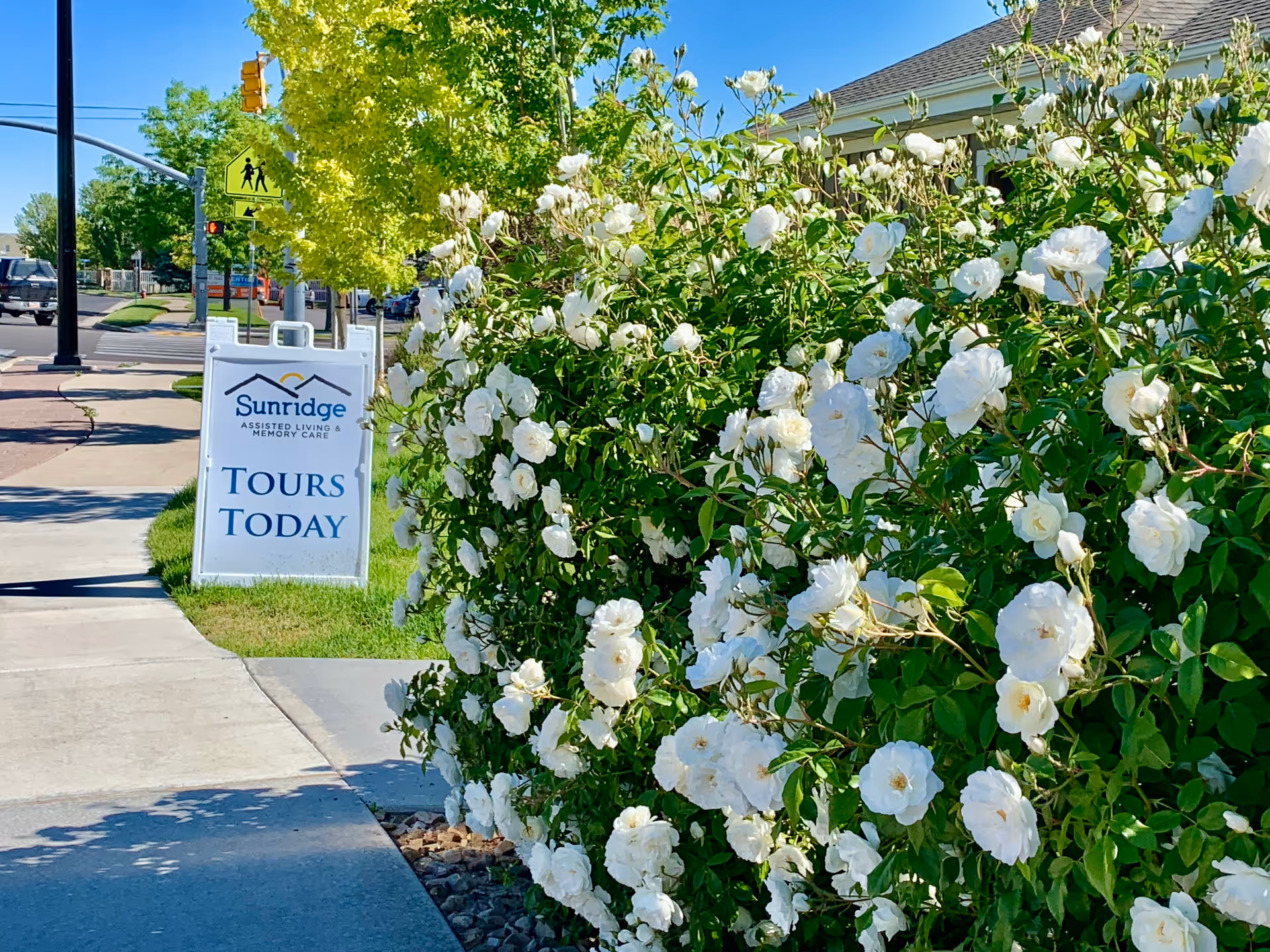 Sidewalk with a white sandwich board sign that reads 'Sunridge Assisted Living & Memory Care TOURS TODAY' next to a large bush of white flowers. Trees and a street with cars and traffic lights are visible in the background.