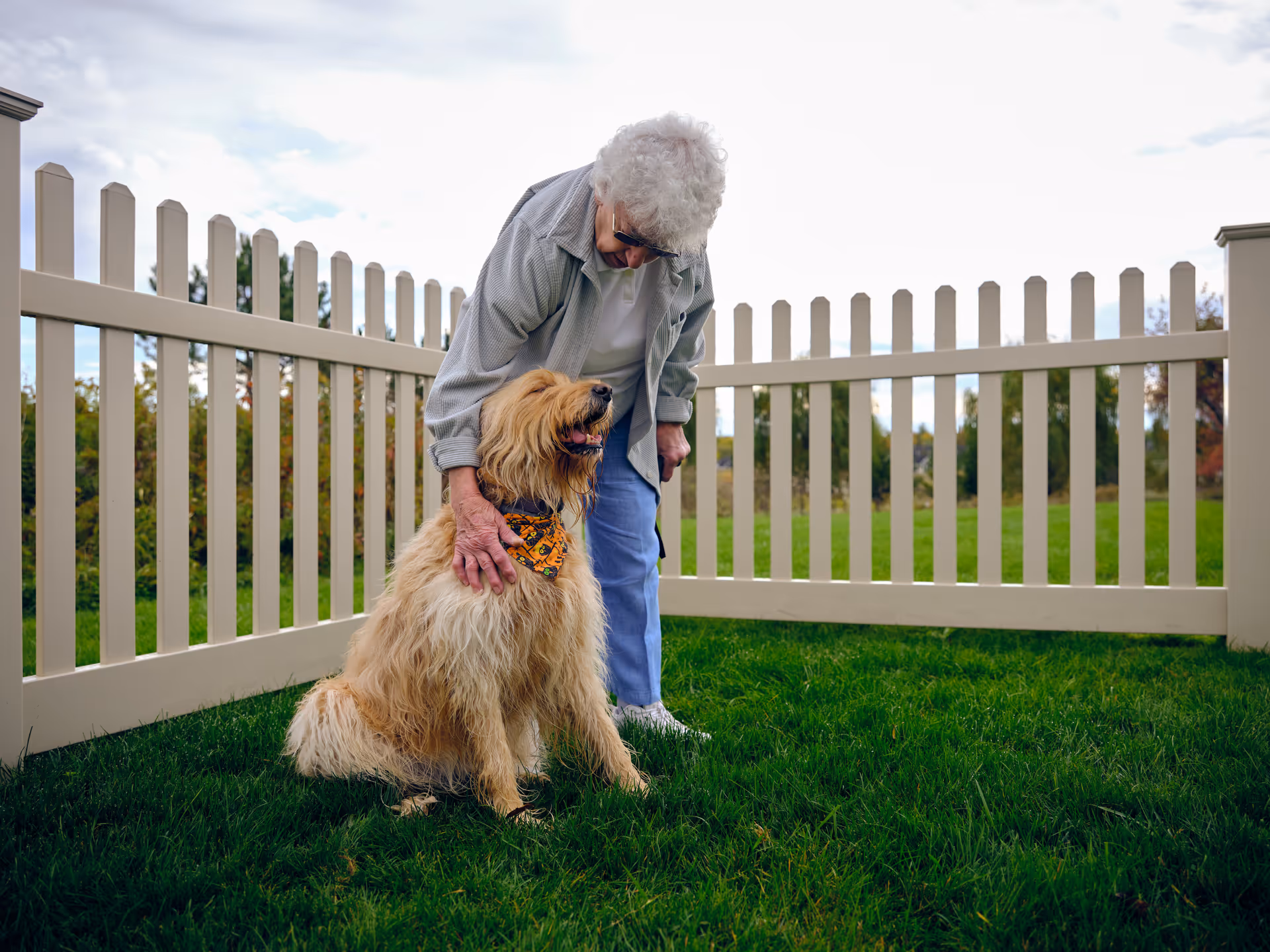 An elderly woman with white curly hair wearing sunglasses, a light jacket, and blue pants is bending down to pet a large fluffy dog with a light brown coat and an orange patterned bandana. They are in a grassy area enclosed by a white picket fence under a partly cloudy sky.