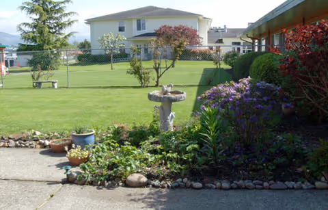 A sunny courtyard garden with a birdbath fountain, flower beds, potted plants, and a grassy lawn bordered by buildings and a chain-link fence.