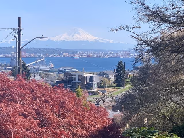 View of a waterfront cityscape with a large snow-capped mountain in the background, a body of water with ships, residential houses, and trees with red and green foliage in the foreground under a clear blue sky.