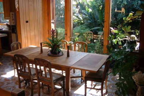 Sunlit wooden dining table with six chairs inside a cozy room overlooking lush plants.