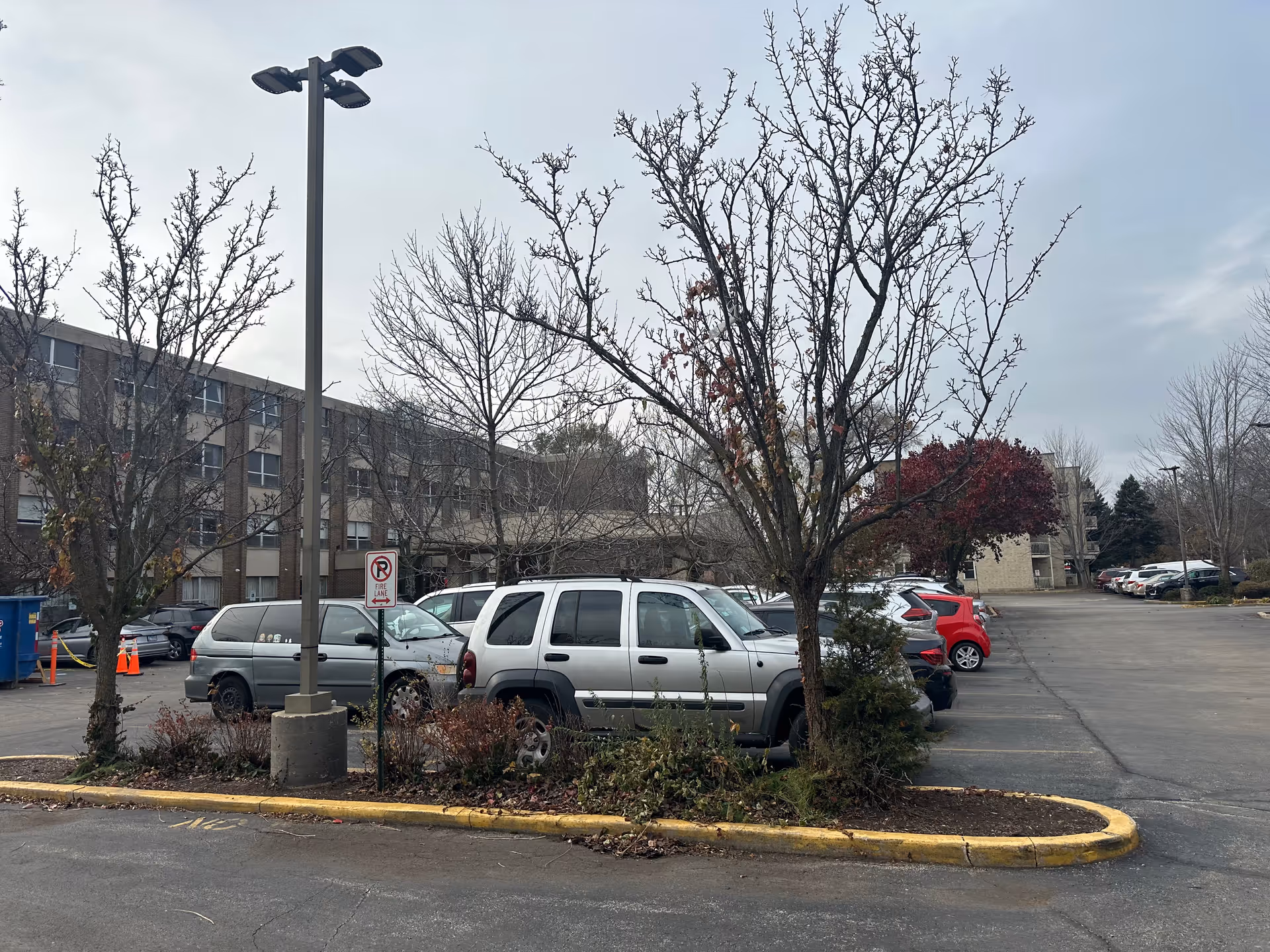 Parking lot with several parked cars, leafless trees, a tall street lamp, and a multi-story building in the background under a cloudy sky.