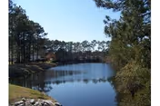 A calm pond bordered by pine trees and nearby homes under a clear blue sky.