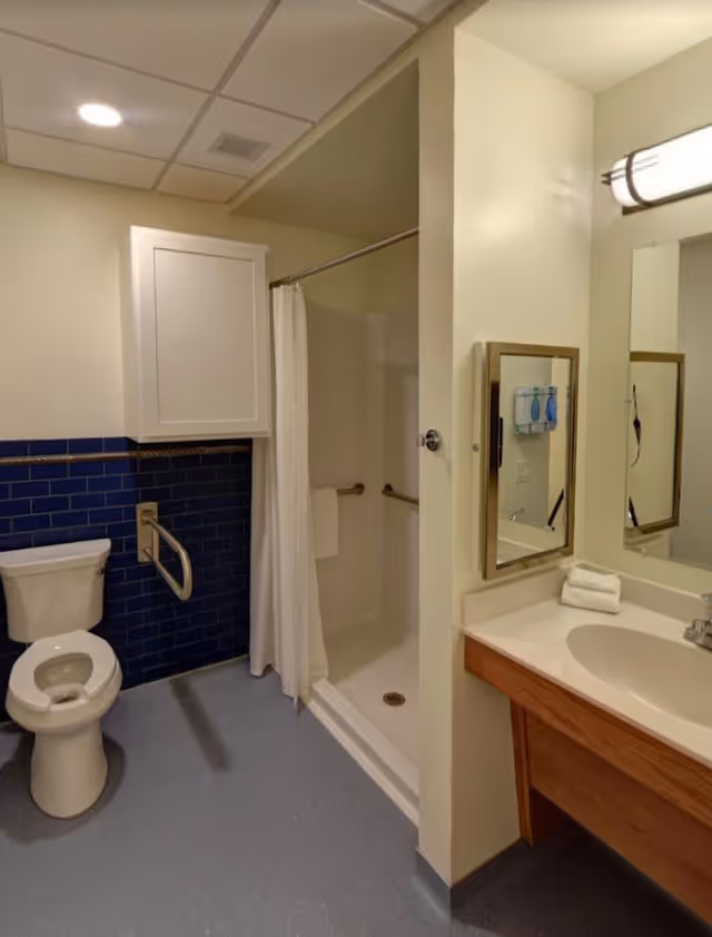 A bathroom with a toilet, a shower with a white curtain, a sink with a countertop, a mirror, and a wall-mounted cabinet. The walls are light-colored with a section of dark blue tiles behind the toilet. There are grab bars near the toilet and inside the shower for accessibility.