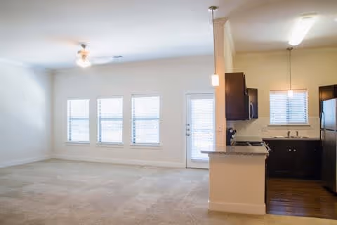 Bright and spacious living area with beige carpet flooring, three large windows with blinds, and a ceiling fan. Adjacent to the living area is a kitchen with dark wood cabinets, a granite countertop, stainless steel appliances, and a small pendant light above the counter. There is a door with glass panels leading outside.