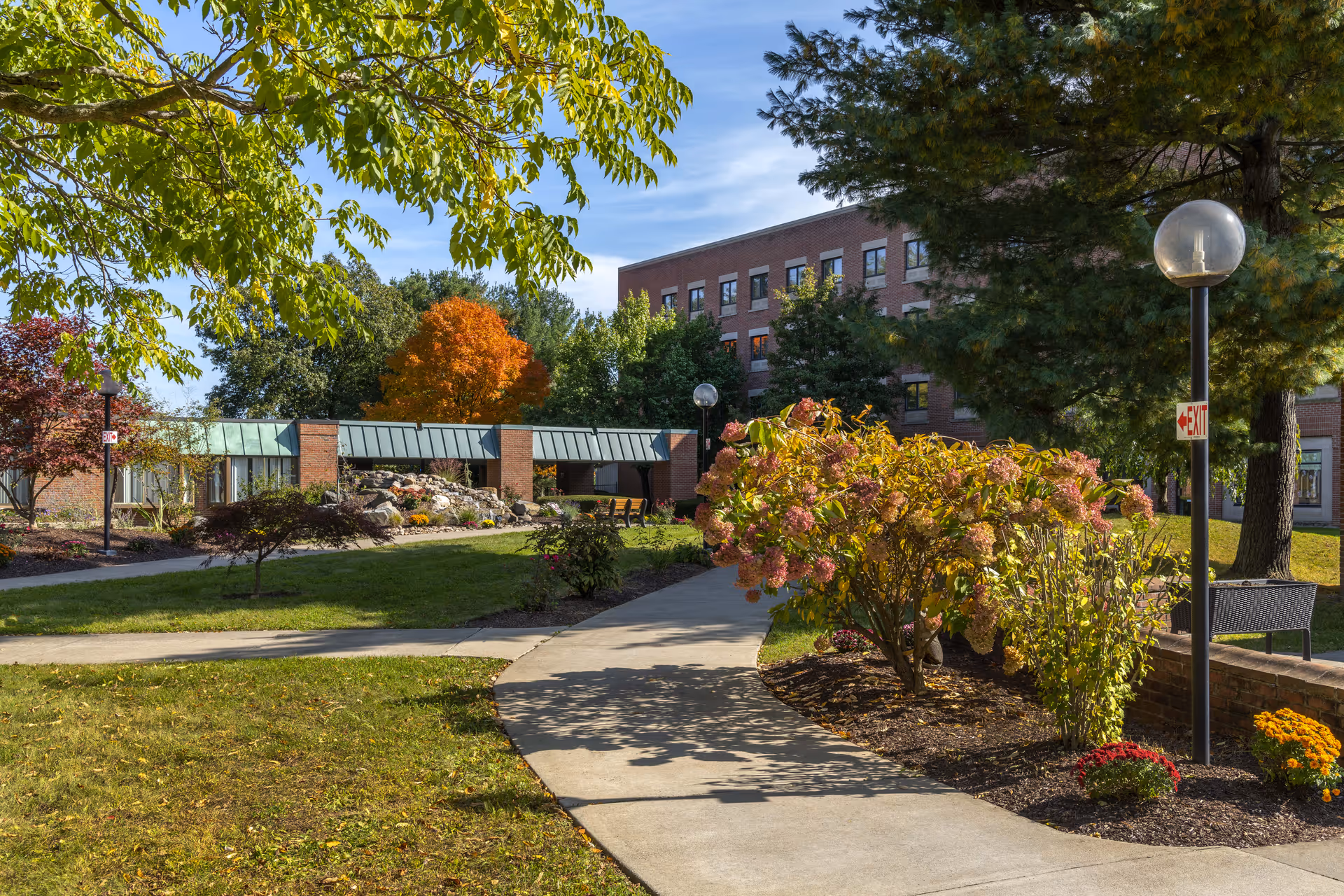 A landscaped outdoor area at Elderwood at Waverly featuring a curved concrete pathway, green grass, flowering bushes, trees with autumn foliage, and a multi-story brick building in the background under a clear blue sky.