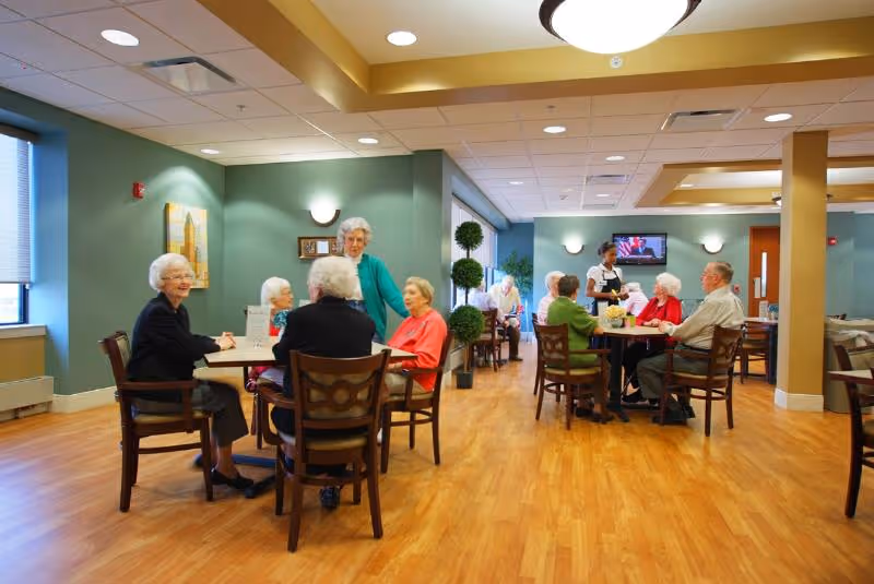 A group of elderly people sitting and socializing at tables in a well-lit dining area with wooden floors and green walls. A staff member is serving one of the tables. The room has large windows, potted plants, and a television mounted on the wall.