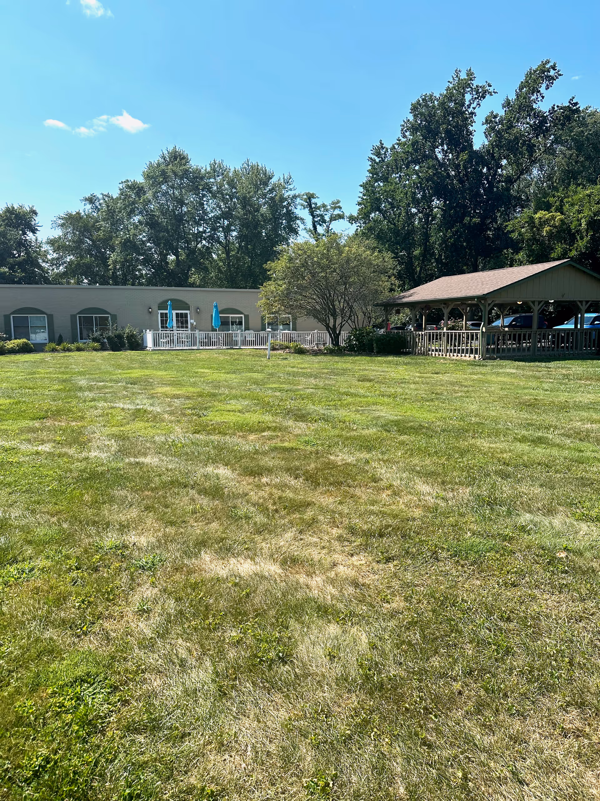 A large grassy lawn with a single tree near the center. In the background, there is a single-story building with windows and a white railing patio area with blue umbrellas. To the right, there is a covered wooden pavilion with a pitched roof. Tall trees are visible behind the building and pavilion under a clear blue sky.