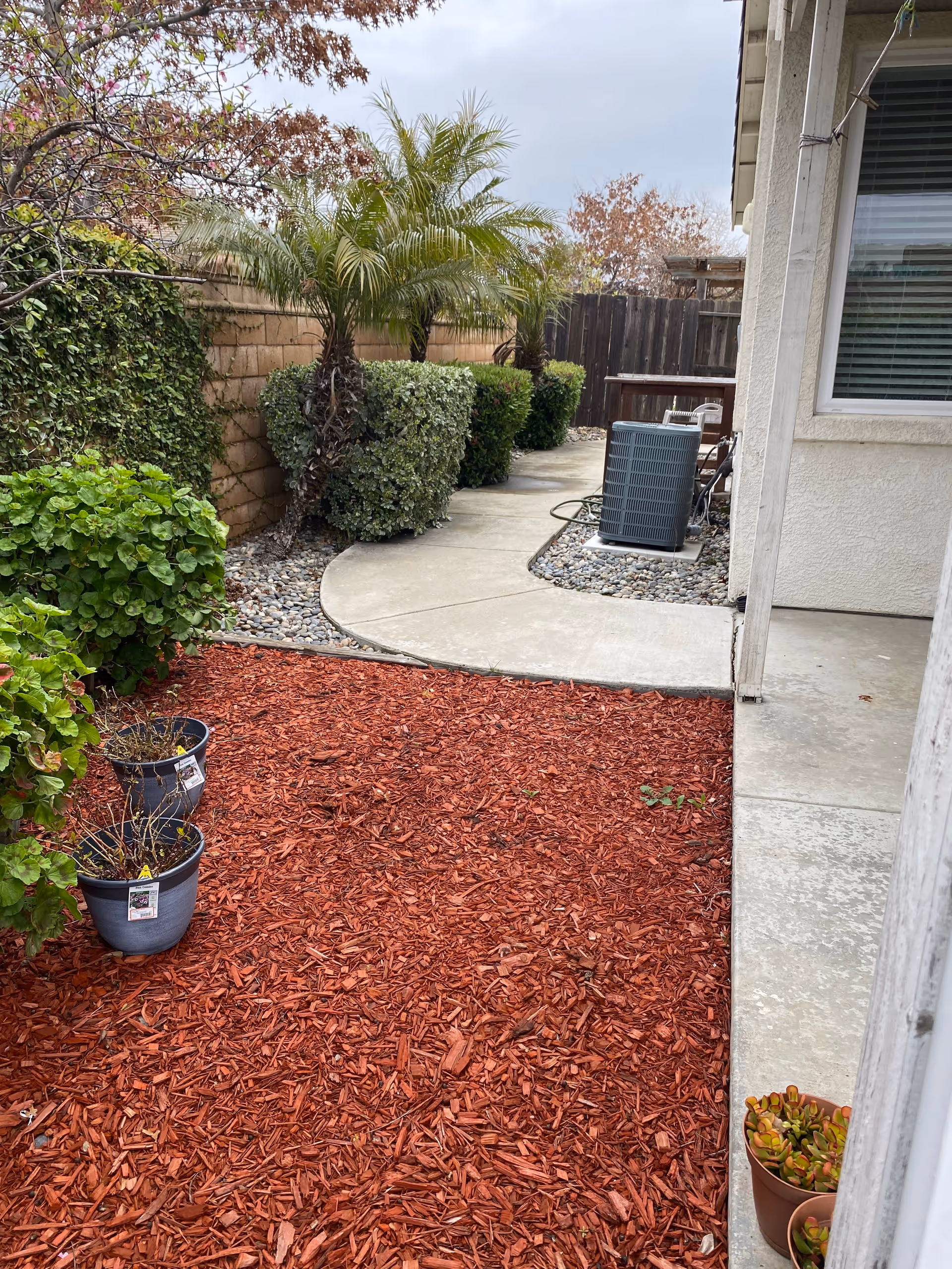 Outdoor garden area with a curved concrete pathway lined with bushes and palm trees. There is red mulch covering the ground in the foreground with two potted plants. An air conditioning unit is visible near the building wall on the right side.
