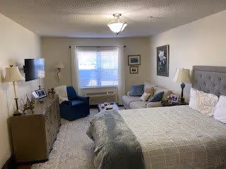 A well-lit senior living bedroom featuring a large bed with a tufted headboard, a gray sofa with cushions, a blue armchair, a dresser with a TV mounted above it, and several framed pictures on the walls. The room has a window with blinds and a ceiling light fixture.