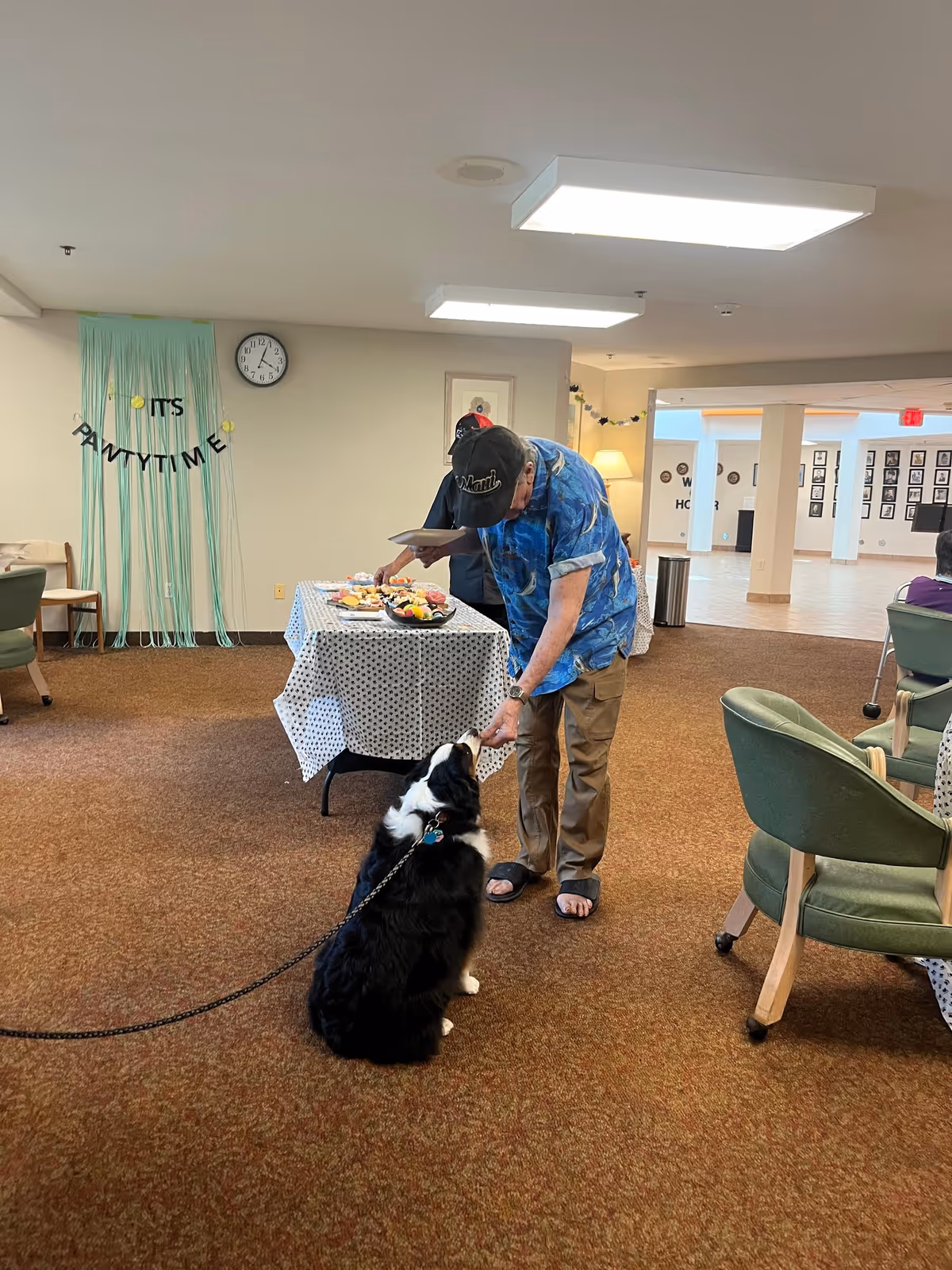 An elderly man in a cap bends to feed a treat to a seated black-and-white dog in a senior living community room with a snack table and chairs.