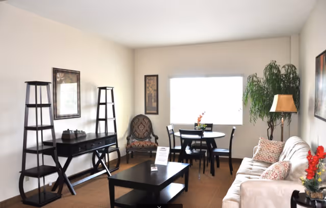 A bright living room with a beige sofa adorned with patterned pillows, a black coffee table, a round dining table with four chairs near a window, a decorative armchair, two black shelving units flanking a black console table, framed artwork on the walls, a tall green plant, and a floor lamp.