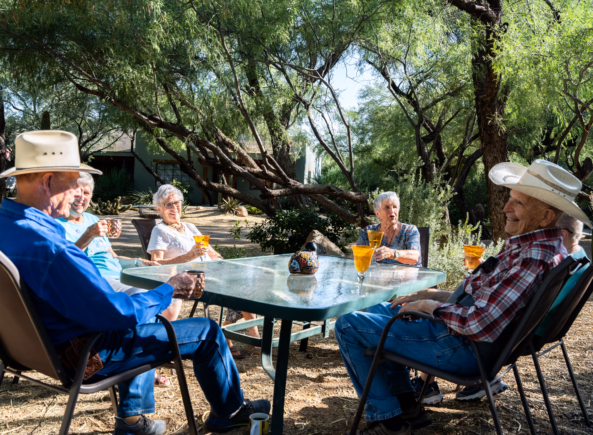 A group of elderly people sitting around a glass outdoor table in a shaded garden area, enjoying drinks and conversation. The setting is surrounded by trees and natural landscaping, with a building partially visible in the background.