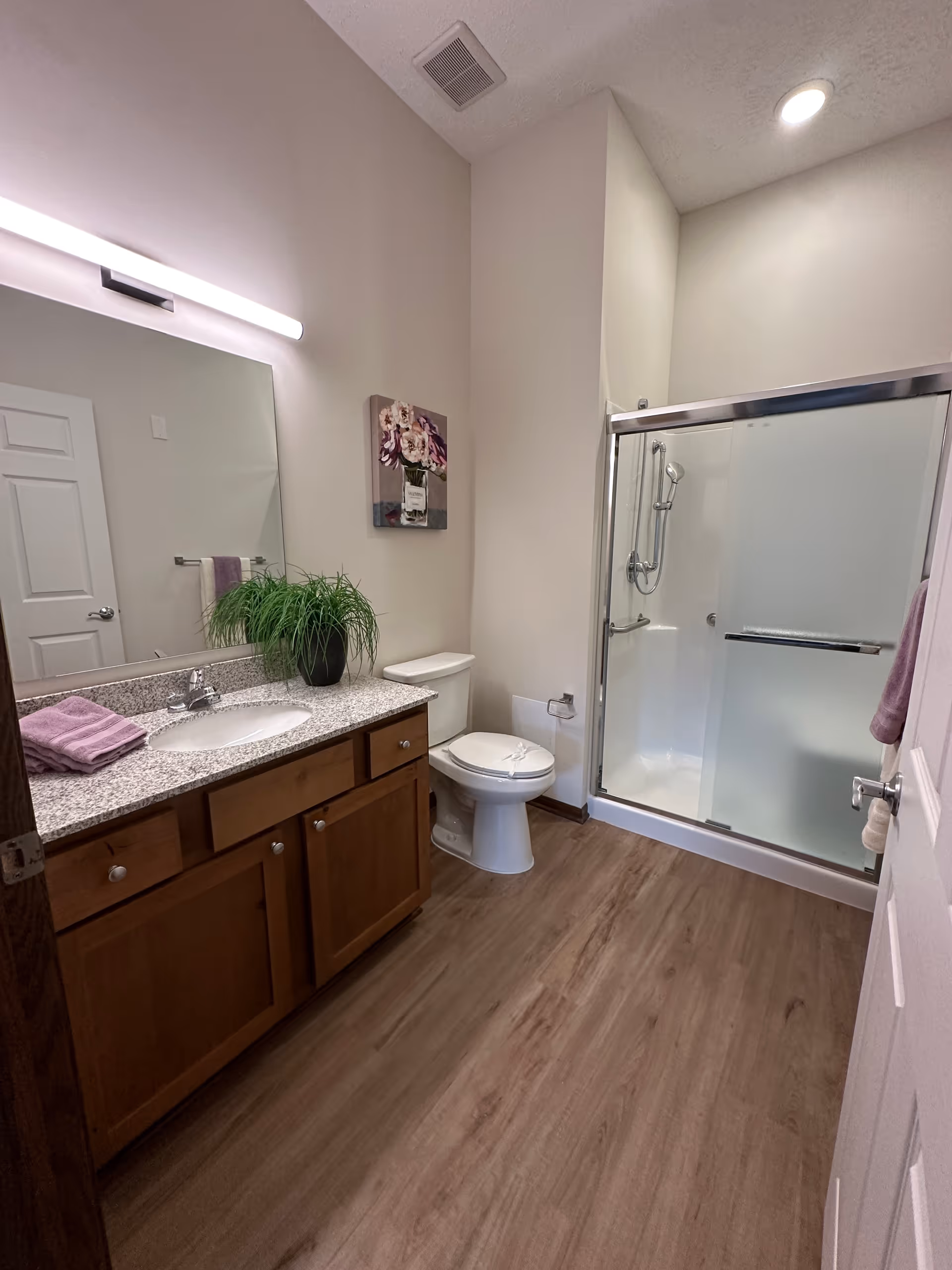 A clean and modern bathroom featuring a wooden vanity with a granite countertop, a sink, a large mirror with a horizontal light above it, a potted green plant, a folded purple towel, a toilet, and a glass-enclosed shower with a sliding door. The floor has wood-like vinyl flooring and the walls are painted light beige. A small floral artwork hangs above the toilet.