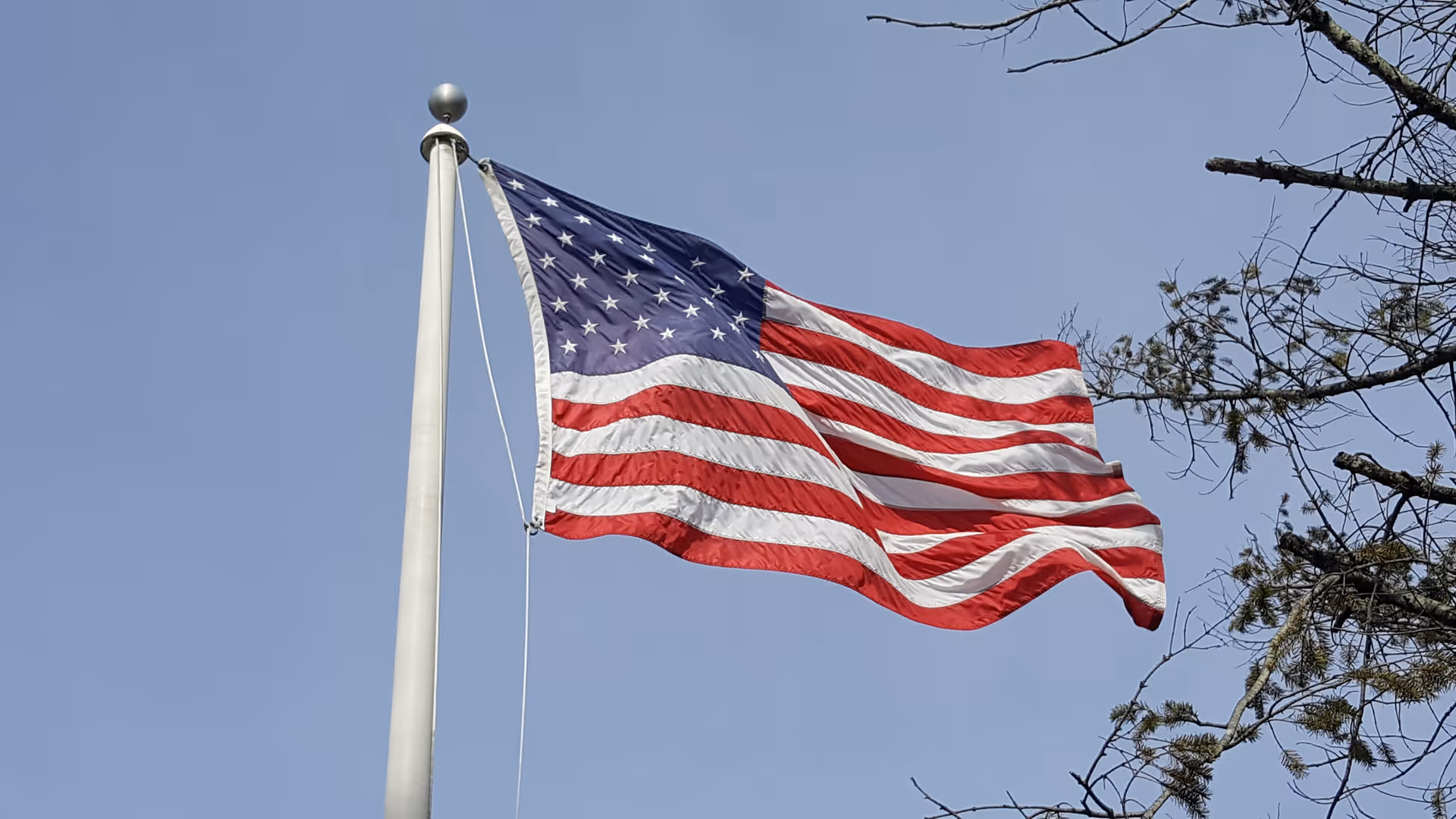An American flag waving on a flagpole against a clear blue sky with tree branches at the edge of the frame.