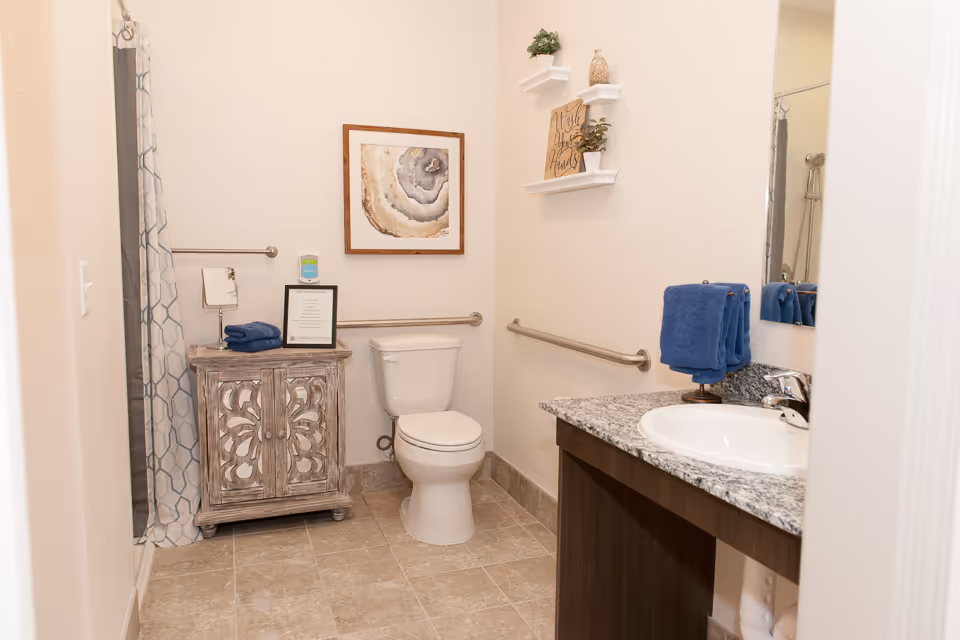 Accessible bathroom with a toilet, granite-topped sink, wooden cabinet, shower with curtain, grab bars, and wall decor.