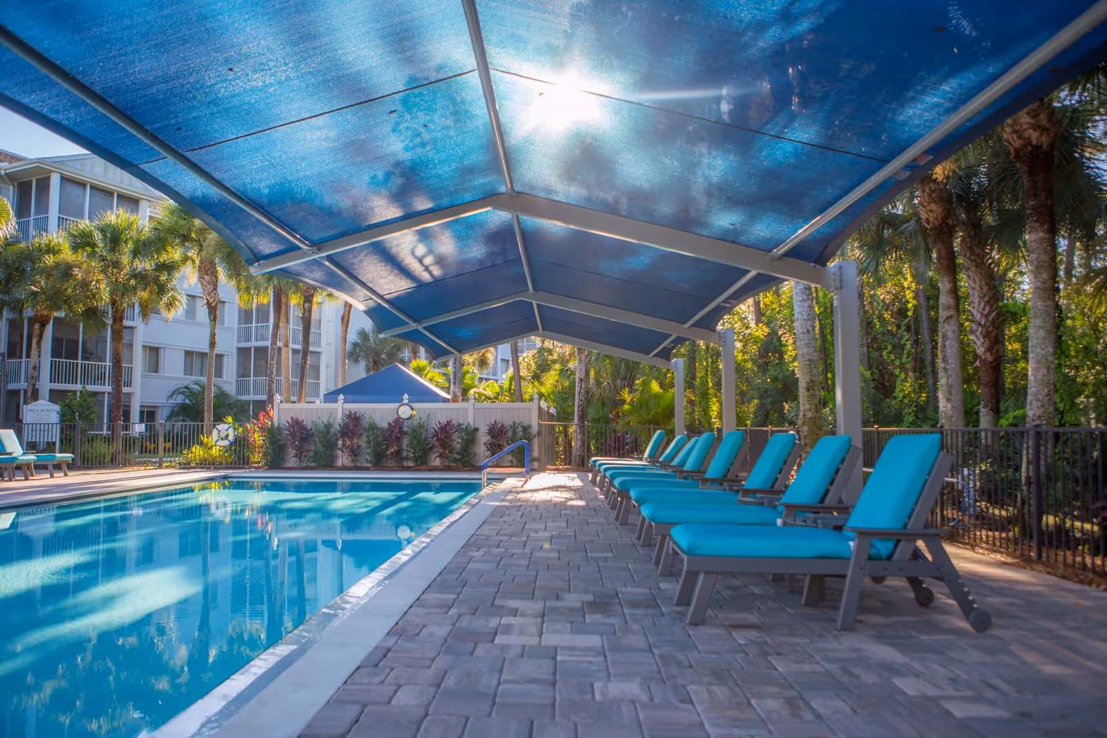 Outdoor swimming pool area with a row of blue cushioned lounge chairs under a blue canopy. Palm trees and a multi-story building are visible in the background.
