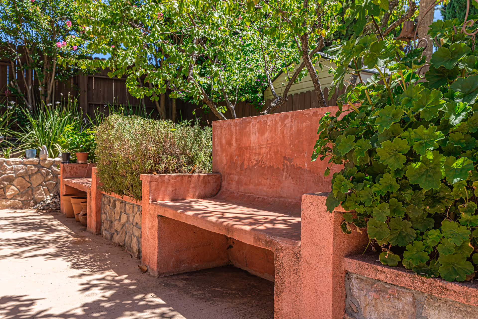 Outdoor garden area with built-in pink concrete benches surrounded by green plants and trees, with a stone wall and wooden fence in the background under bright sunlight.