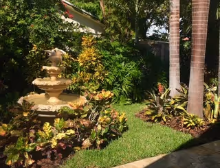 A garden area with a decorative stone fountain surrounded by various green plants and colorful foliage. Two tall palm trees stand on the right side, and a stone pathway is partially visible in the foreground.