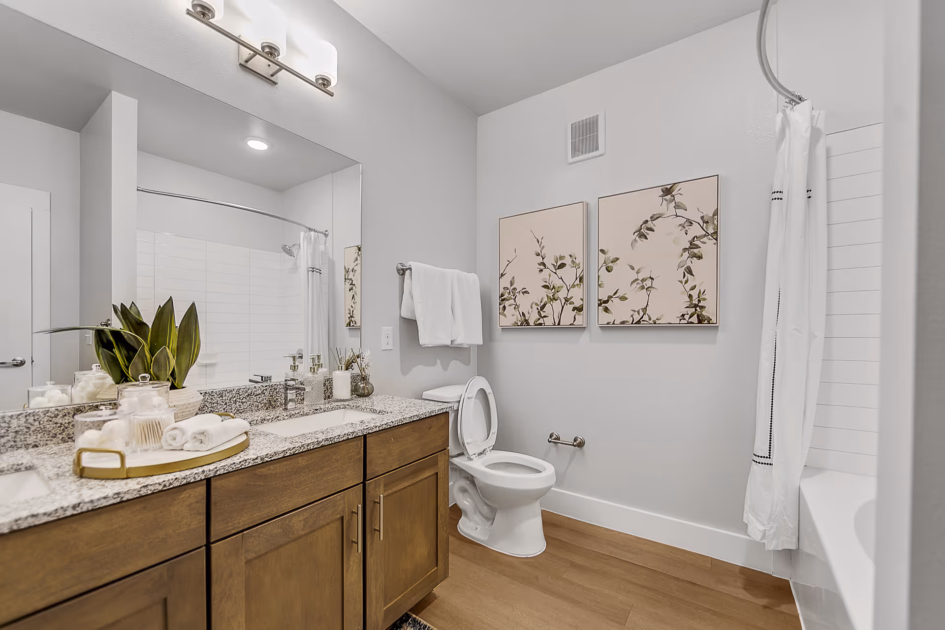 Bright modern bathroom with a granite double-sink vanity, wooden cabinets, toilet, and bathtub with shower curtain, accented by wall art and a potted plant.
