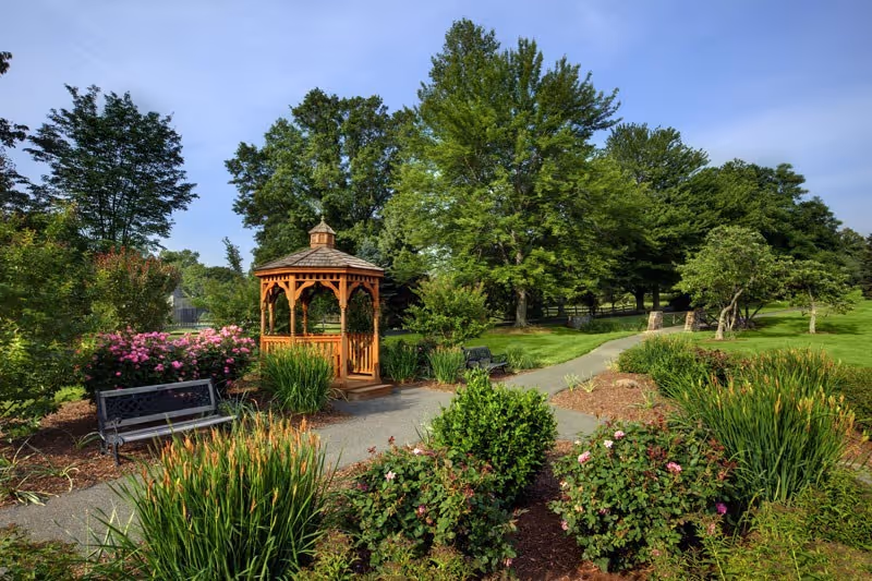 A landscaped outdoor garden with a wooden gazebo, benches, a winding path, and mature trees.