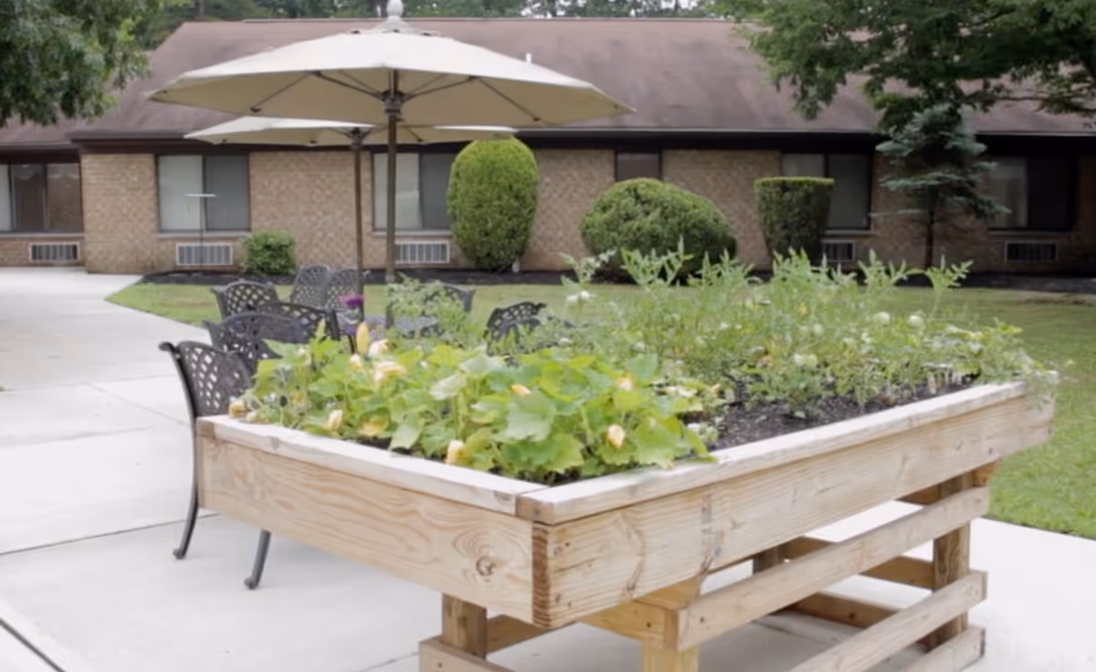 Raised wooden garden bed with various green plants and flowers growing in it, situated on a concrete patio with black metal chairs and a large beige umbrella. In the background, there is a brick building with windows and neatly trimmed bushes and trees.