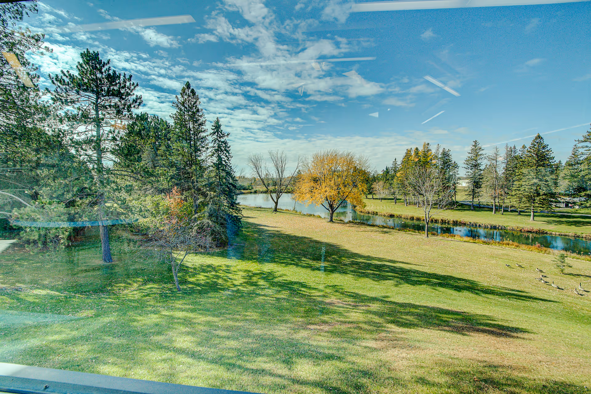 View of a grassy outdoor area with scattered trees, a small pond, and a partly cloudy blue sky, seen through a window with reflections of indoor ceiling lights.