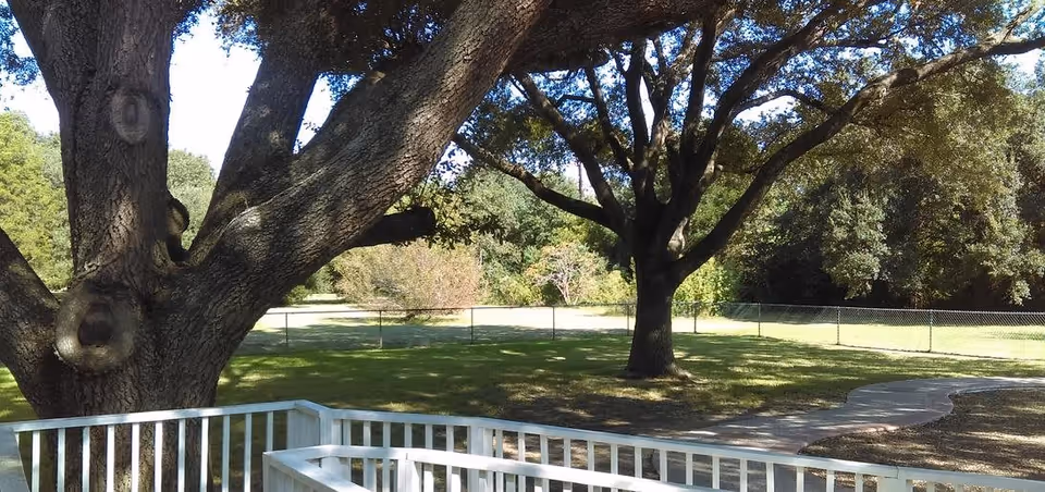 A fenced outdoor area with large trees providing shade, a grassy lawn, and a curved paved walkway. A white railing is visible in the foreground.
