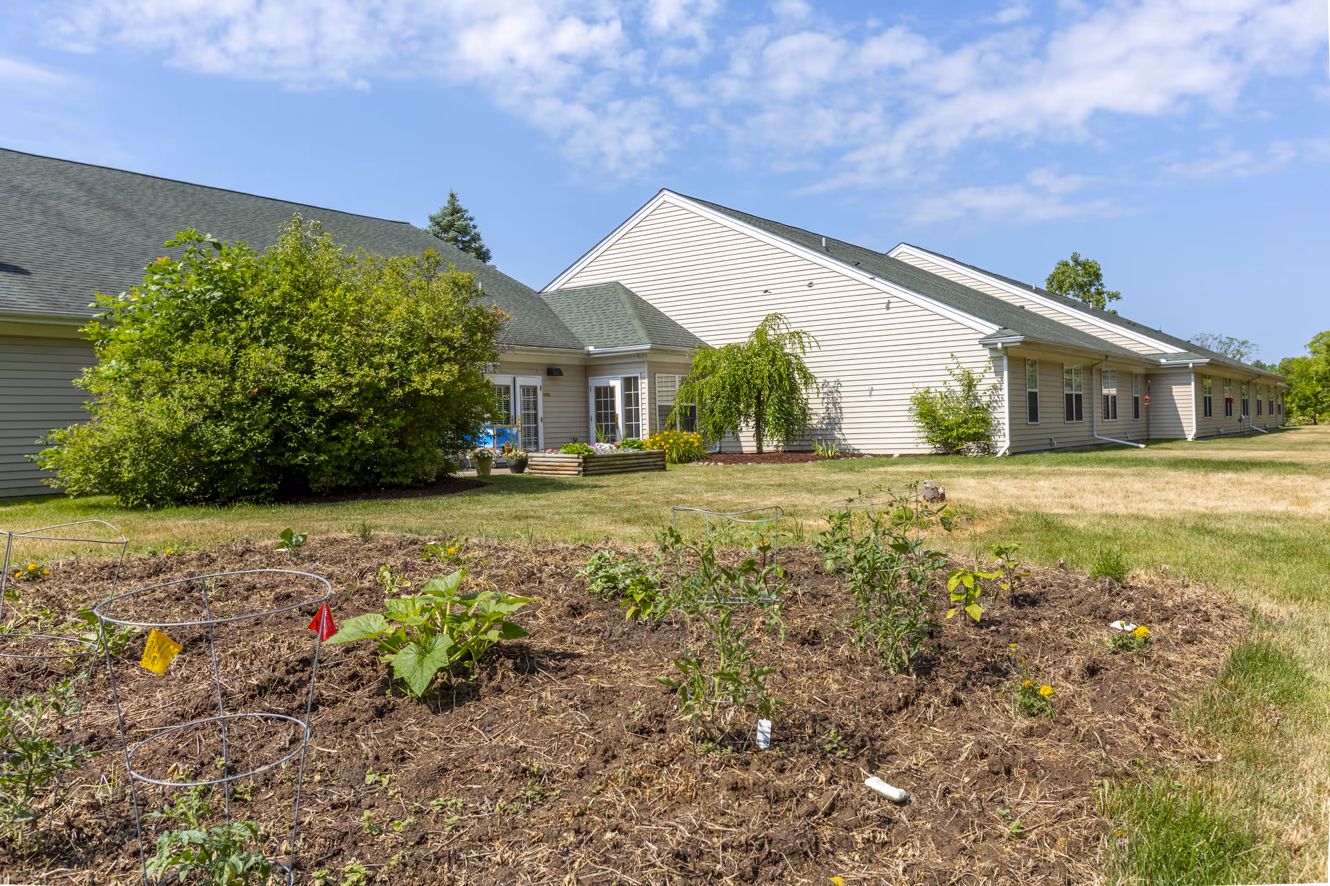 A garden area with small plants and tomato cages in the foreground, with a beige single-story building and green bushes in the background under a partly cloudy blue sky.