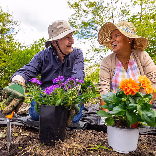 An elderly man and woman wearing sun hats are gardening outdoors. The man is holding a small gardening trowel and a pot with purple flowers, while the woman is smiling and sitting next to a pot with orange flowers. They are surrounded by green trees and plants.