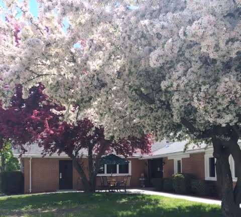 Outdoor courtyard area of a brick building with blooming trees featuring white and pink flowers. There is a patio with a table and chairs under a green umbrella, surrounded by well-maintained grass and bushes.