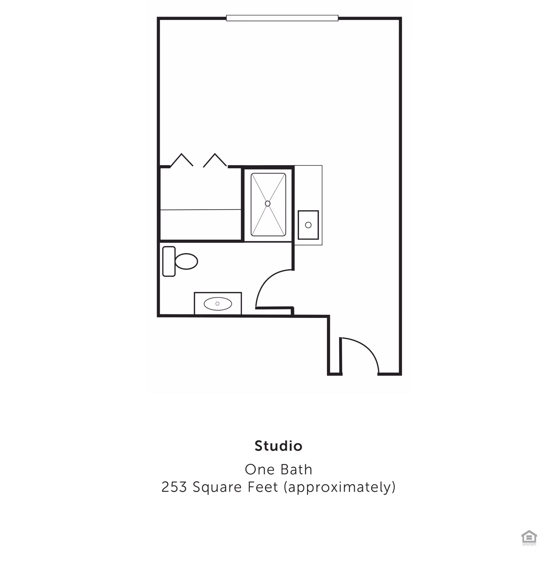 Floor plan of a studio apartment with one bathroom, approximately 253 square feet. The layout shows an entry door leading into the main living area, a bathroom with a toilet, sink, and bathtub, and a closet space adjacent to the bathroom.