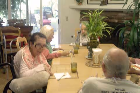 Elderly residents seated around a dining table in a communal dining room with plants and drinks.