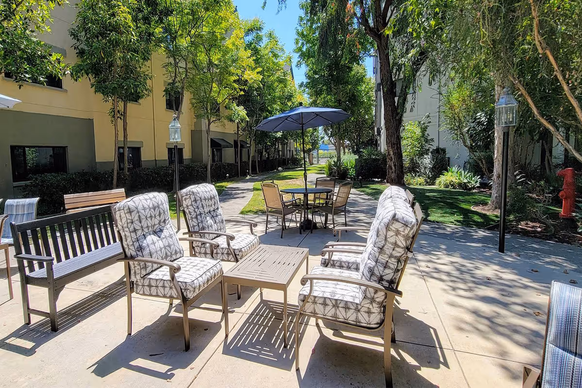 Sunny outdoor courtyard with cushioned chairs, benches, tables and an umbrella along a tree-lined walkway.