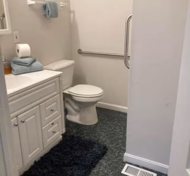 Small bathroom with a white vanity and sink, toilet, wall-mounted grab bar, towel rack, and a dark floor rug.