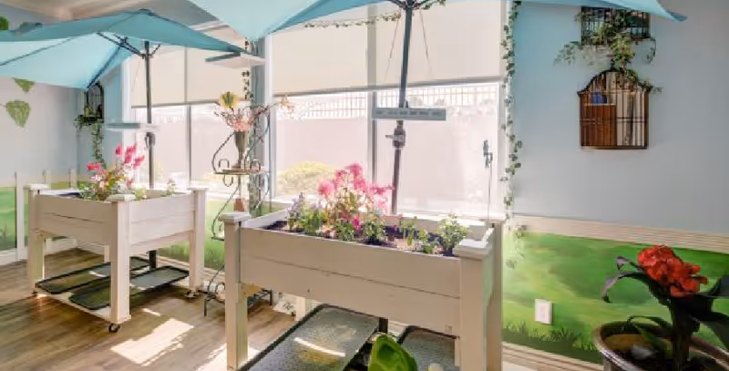 Indoor gardening area with two raised planter boxes filled with flowers, under blue umbrellas. The room has large windows letting in natural light, a mural of green grass on the walls, and decorative wall-mounted birdcages with plants.