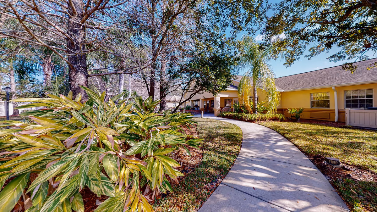 Curved concrete pathway leading through a landscaped garden with green and yellow variegated plants and trees, heading towards the entrance of a single-story yellow building under a clear blue sky.