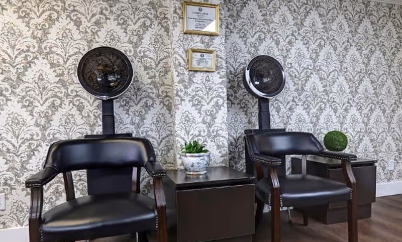 Two black salon chairs with attached hair dryers in front of a wall with ornate patterned wallpaper. Between the chairs are two small dark wooden tables, one with a small potted plant and the other with a decorative green sphere. Two framed certificates hang on the wall above the tables.