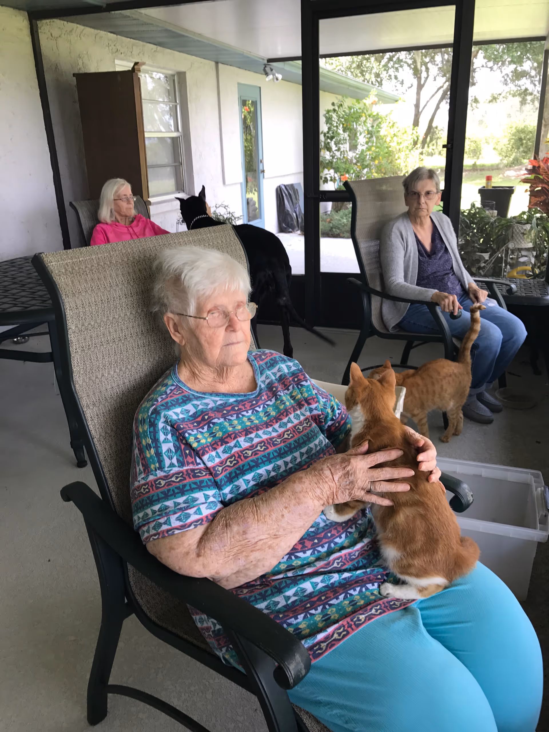 Three elderly women sitting on a covered patio area. One woman in the foreground is holding an orange and white cat on her lap. Another woman in the background is petting a second orange cat. A third woman is seated further back near a black dog. The patio has glass doors and windows with greenery visible outside.