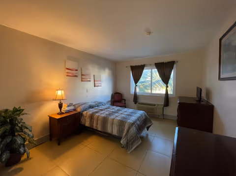 Furnished bedroom with a single bed, nightstand and lamp, dresser, window with curtains, and a potted plant.
