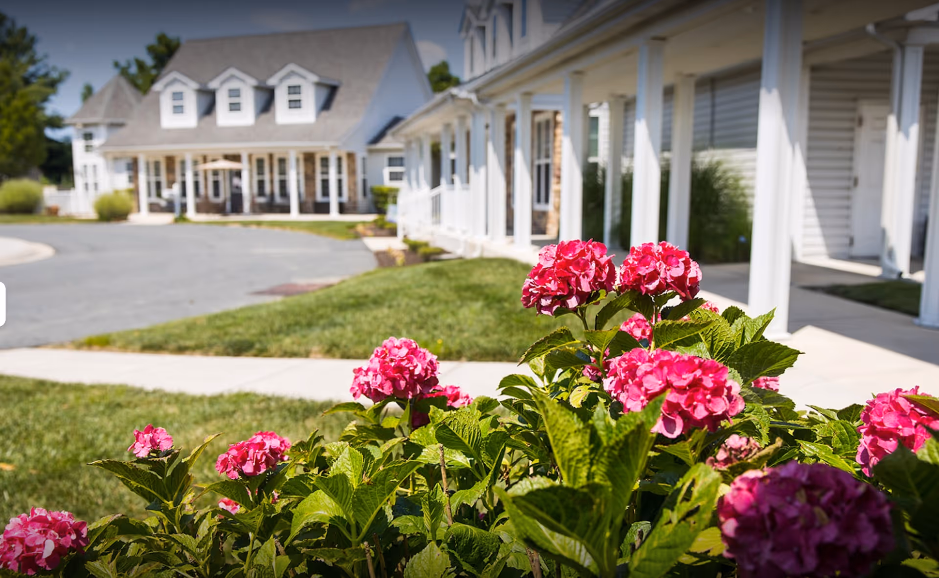 Front exterior of a senior living building with a porch and pink hydrangeas in the foreground.