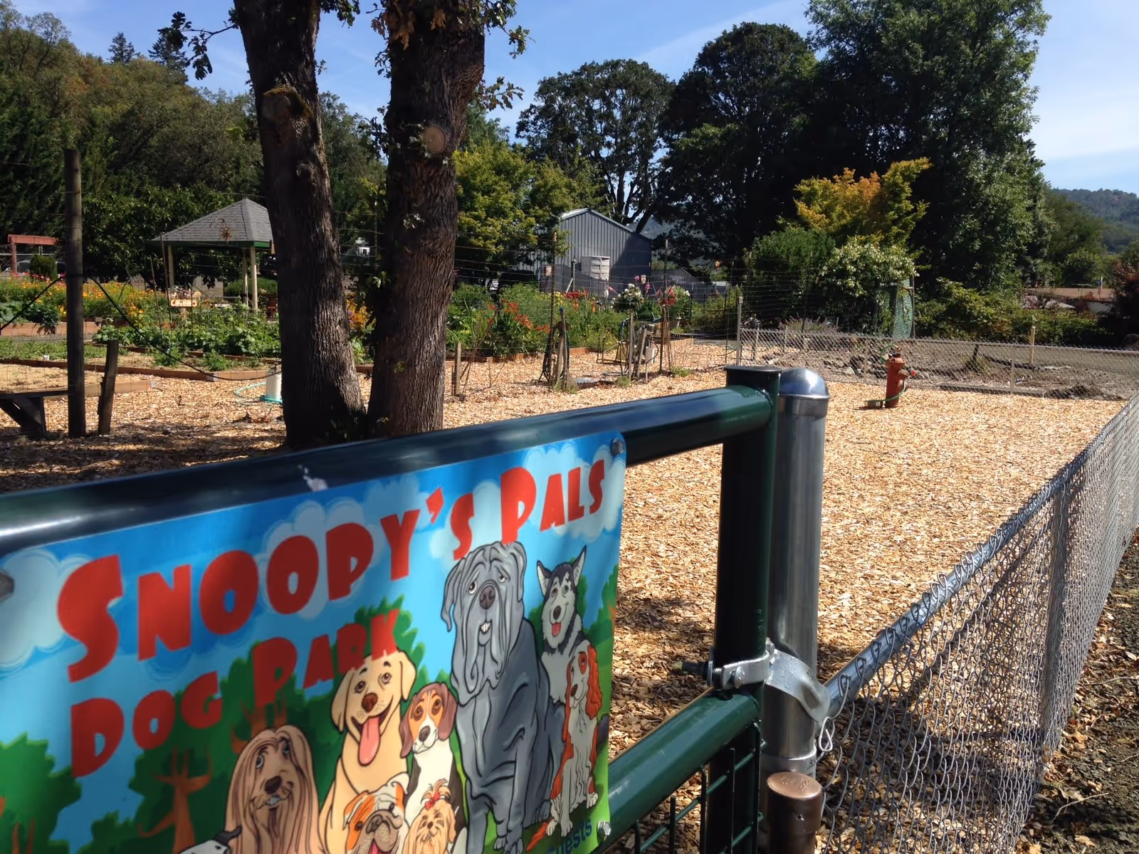 A fenced outdoor dog park covered in wood chips with a colorful 'Snoopy's Pals Dog Park' sign on the gate and trees and garden beds in the background.