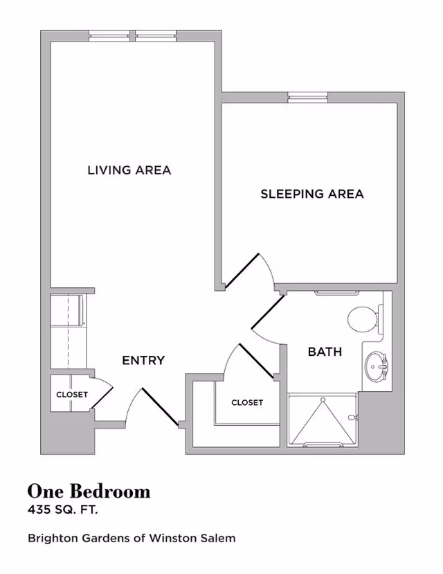 Black-and-white floor plan of a one-bedroom 435 sq. ft. apartment showing a living area, sleeping area, entry, bathroom, and closets.