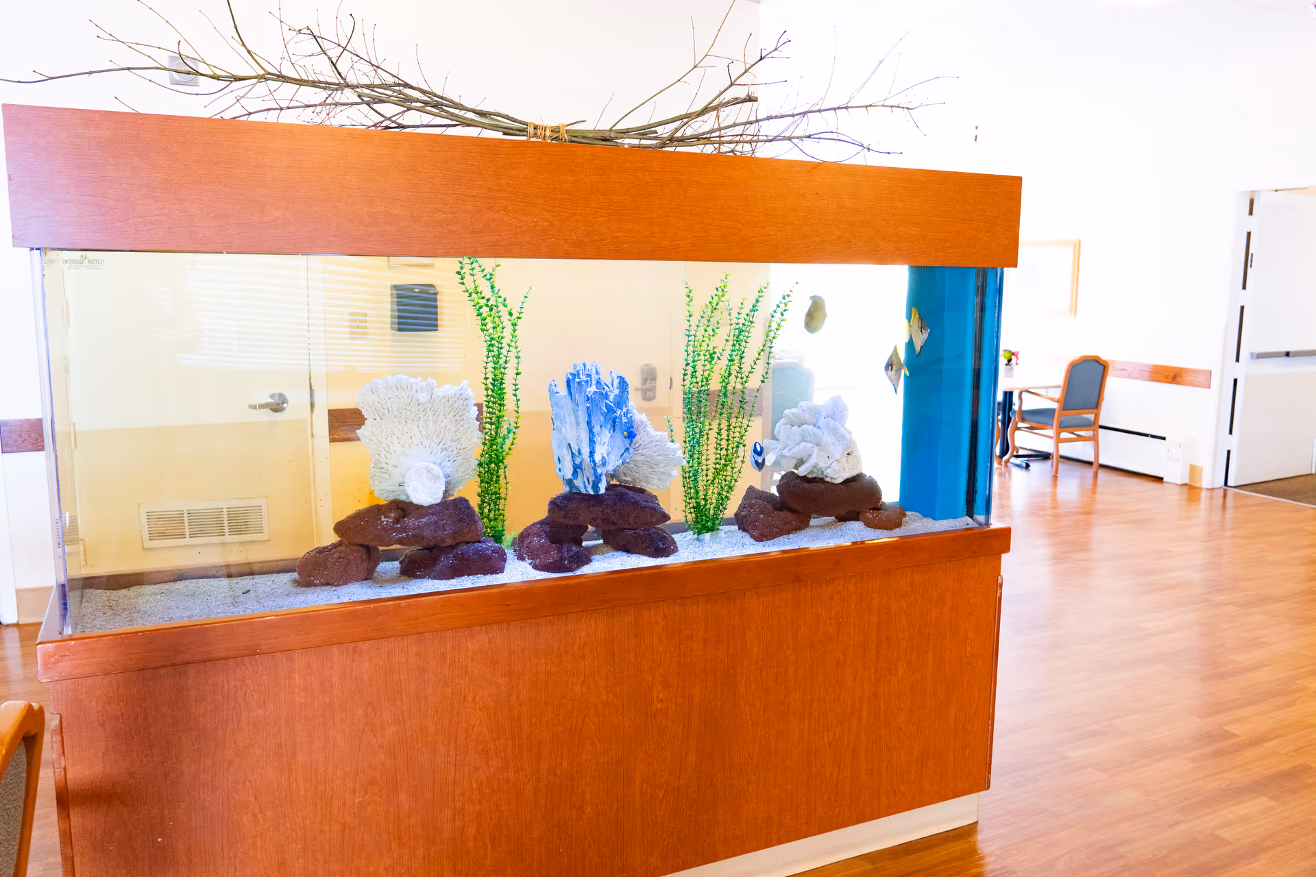 Large wooden-framed aquarium with decorative coral and fish in a bright facility lobby.