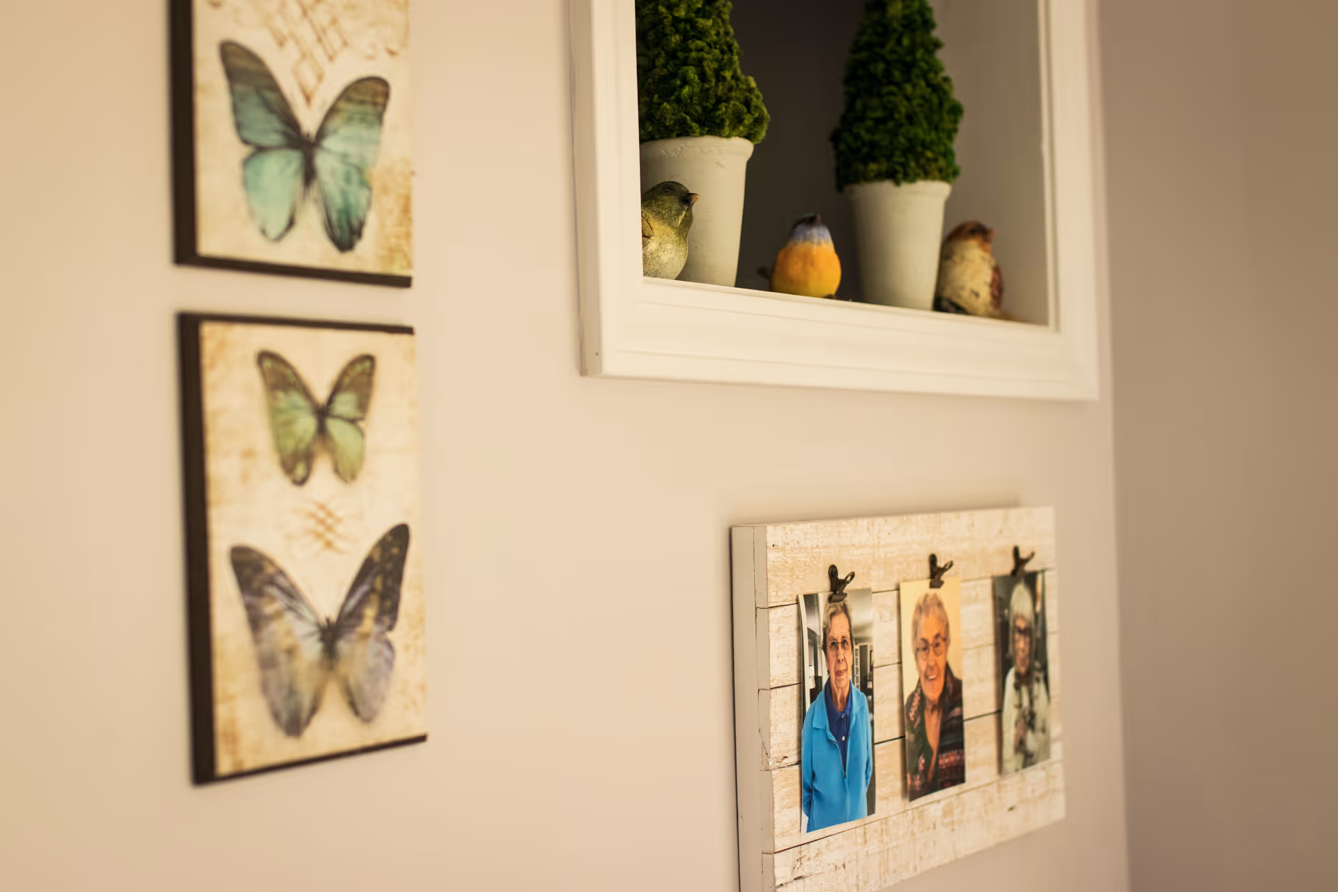 A beige wall decorated with three framed pictures of butterflies, a white shelf holding three small potted plants and three bird figurines, and a wooden photo display with three photos of elderly individuals clipped to it.