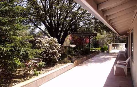 Sunlit outdoor walkway at Meadowview Manor with garden shrubs and white chairs.
