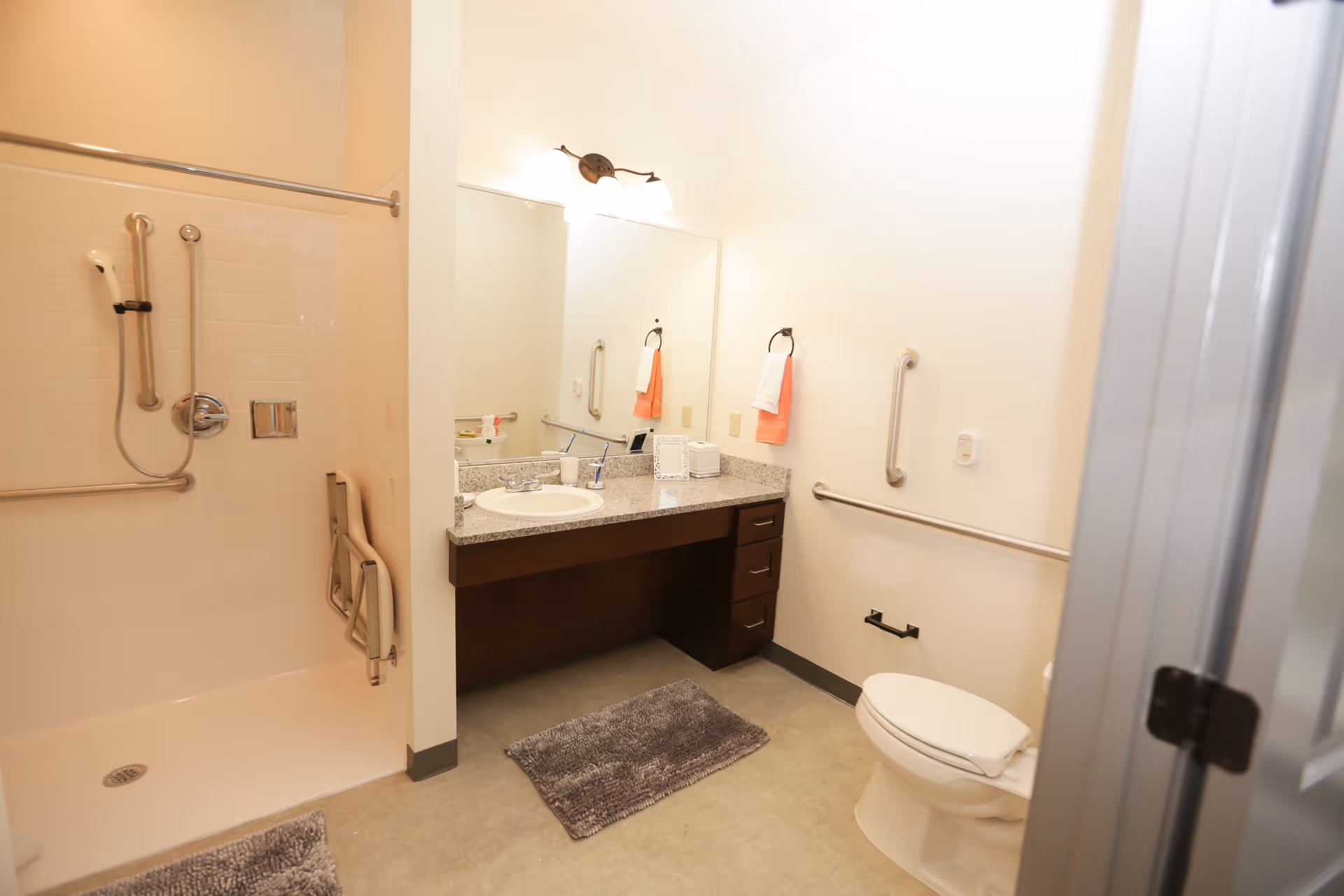 Accessible bathroom with a walk-in shower, vanity and sink with mirror, and a toilet with grab bars.