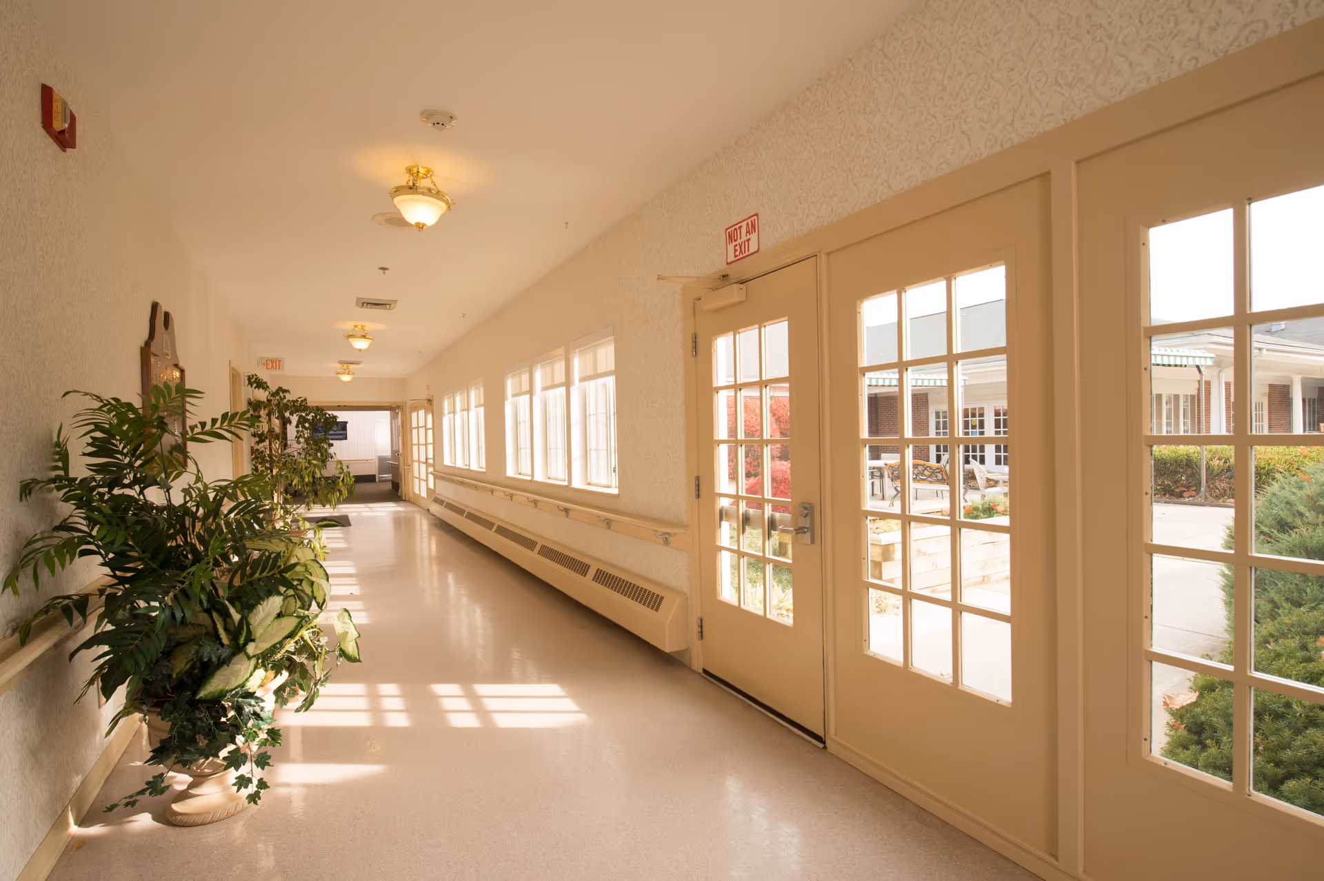 A bright hallway in a senior living facility with large windows on one side and glass doors leading to an outdoor patio area. The hallway has beige walls with subtle patterned wallpaper, ceiling lights, handrails along the wall, and potted plants placed near the wall. A 'Not An Exit' sign is visible above one of the doors.