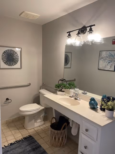 A clean bathroom with a white toilet, a white vanity with a sink, and a large mirror above it. The vanity countertop has decorative items including small plants and a blue ceramic bird. There is a wall-mounted light fixture with three bulbs above the mirror. The floor is tiled, and there is a blue rug in front of the vanity. Two framed artworks hang on the walls, and a metal grab bar is installed next to the toilet.