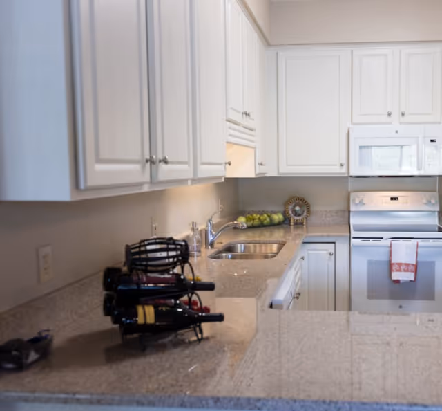 Modern kitchen with white cabinets, a granite countertop, a double sink, a built-in microwave above an electric stove, a wine rack holding several bottles, and a decorative plate with green apples on the counter.